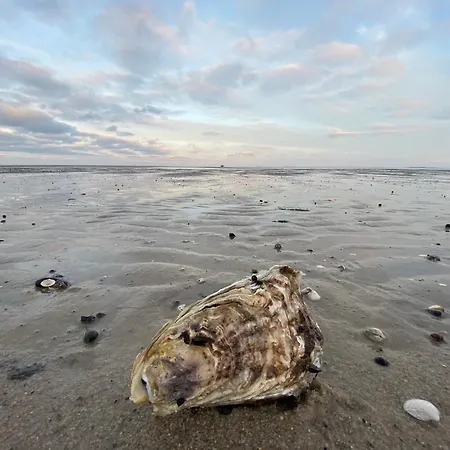Min Ailoen Min Ailoen10 Westerland